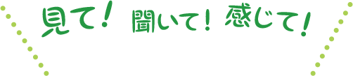 見て！聞いて！感じて！